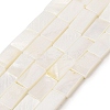 Natural Freshwater Shell Beads Strands BSHE-H018-03-1