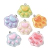 Cartoon Translucent Resin Pendants RESI-D071-01-1