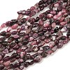 Natural Plum Blossom Tourmaline Beads Strands G-K395-B11-01-2