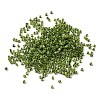 Cylinder Glass Seed Beads GLAA-NH0005-01H-2