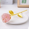 Resin & Iron Rose Display Decoration PW-WG60149-01-1