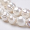 Natural Cultured Freshwater Pearl Beads Strands PEAR-D187-14-3