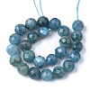 Natural Apatite Beads Strands G-S345-6mm-008-2