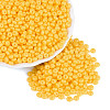 Opaque Glass Seed Beads SEED-N012-09A-04-1