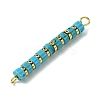 Dyed Natural Magnesite & Electroplated Synthetic Non-magnetic Hematite Heishi Connector Charms PALLOY-JF03291-05-3