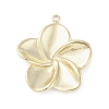 304 Stainless Steel Pendants STAS-L022-420G-1