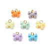 Opaque Acrylic with Brass Pendants PALLOY-JF04509-1