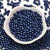 Baking Paint Glass Seed Beads SEED-C004-04N-2