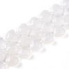 Natural Quartz Crystal Beads Strands G-P570-E21-01-2