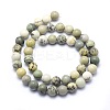 Natural Dendritic Jasper Beads Strands X-G-E501-8mm-01-2