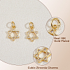 12Pcs Rack Plating Brass Micro Pave Cubic Zirconia Charms KK-HS0015-04-4