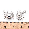 304 Stainless Steel Crab Charms STAS-T069-36P-3