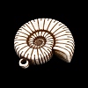 Spray Painted Opaque Acrylic Pendants ACRP-F003-03A-2