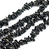 Natural Black Tourmaline Chip Bead Strands X-G-L444-08-2