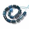 Natural Apatite Beads Strands G-S345-8x11-003-2