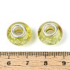 Resin European Beads RPDL-R009-09-3