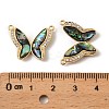 Natural Paua Shell Butterfly Pendants KK-G538-03G-01-3