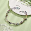 Natural Fluorite Chips Beaded Necklaces NJEW-JN04275-06-3