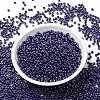 MIYUKI Round Rocailles Beads SEED-X0055-RR0434-2