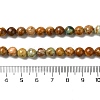 Natural Yellow Chrysocolla Beads Strands G-H298-A07-02-5