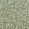 MIYUKI Delica Beads SEED-J020-DB1765-3