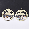 Epoxy Resin Pendants RESI-S365-77-1