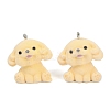 Flocky Resin Pendants FIND-A052-06C-1