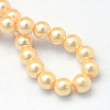 Baking Paint Pearlized Glass Pearl Round Bead Strands HY-Q003-10mm-61-4