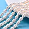 Natural Cultured Freshwater Pearl Beads Strands X-PEAR-R064-20-1