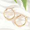 201 Stainless Steel Hoop Earrings EJEW-Q026-17G-A-1