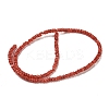 Dyed Natural Freshwater Shell Beads Strands BSHE-G039-07K-2