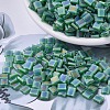 MIYUKI TILA Beads LS-X-SEED-J020-TL146FR-1
