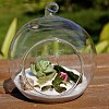 Transparent Wall Hanging Glass Ball Planter Terrarium Container Vase DIY-L047-01-5