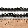 Natural Larvikite Beads Strands G-H078-C18-01-5