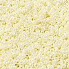 MIYUKI Round Rocailles Beads X-SEED-G009-RR0486-2