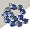 Natural Lapis Lazuli Beads Strands G-D316-A05-1