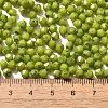 Picasso Baking Paint Glass Seed Beads SEED-A032-02A-07-4