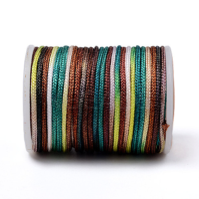 Segment Dyed Polyester Thread LS-NWIR-I013-C-10-1