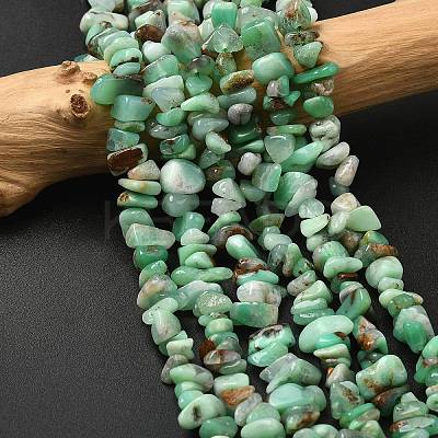 Natural Chrysoprase Beads Strands G-G0004-D01-A-1