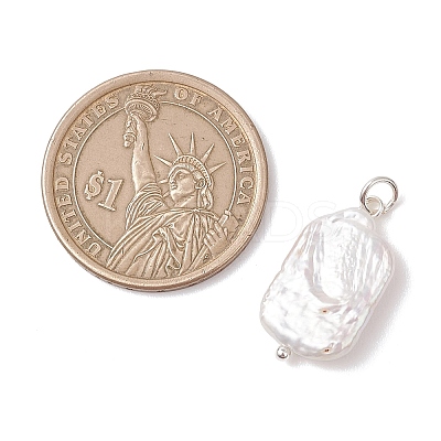 Natural Baroque Pearl Keshi Pearl Pendants PALLOY-JF04966-1
