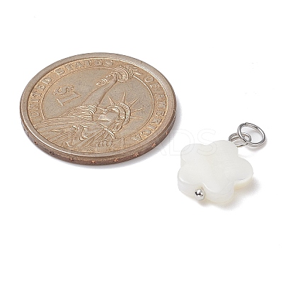 12Pcs 12 Styles Natural Freshwater Shell Big Pendants Set PALLOY-JF02079-1