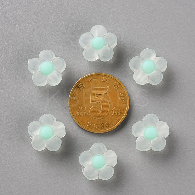 Transparent Acrylic Beads X-TACR-S152-06C-SS2111-1