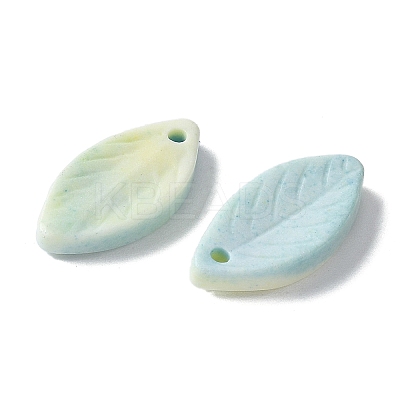 Natural Rainbow Alashan Agate Pendants G-G194-03D-1