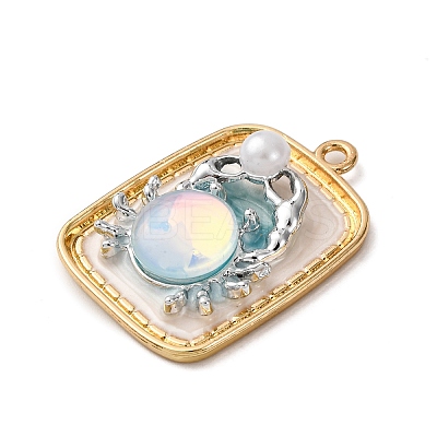 Light Gold Tone Alloy Enamel Pendants ENAM-B028-37KCG-01A-1