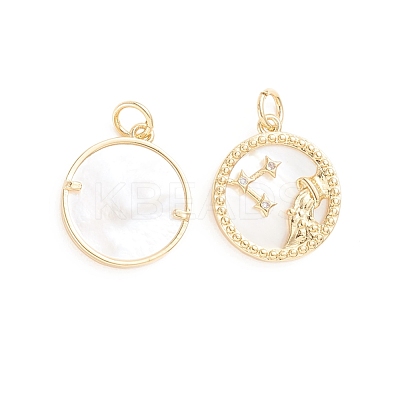 Brass Micro Pave Cubic Zirconia Pendants ZIRC-E164-36L-G-1