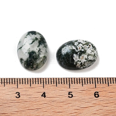 Natural Tree Agate Cabochons G-G145-01B-54-1