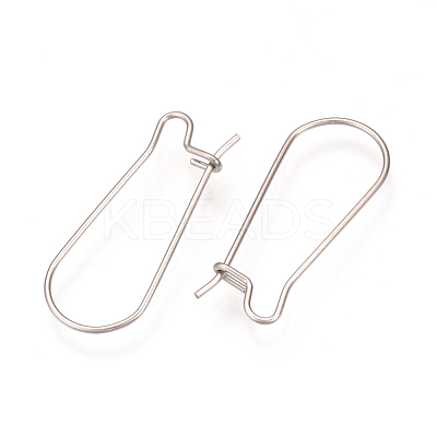 Tarnish Resistant 304 Stainless Steel Hoop Earrings Findings STAS-Q223-11A-1