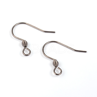 Tarnish Resistant 304 Stainless Steel Earring Hook Findings STAS-G130-47P-1