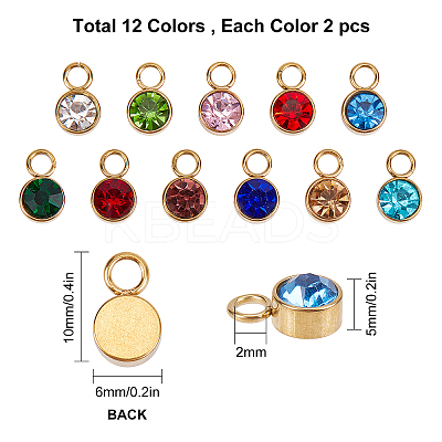 Glass Rhinestone Charms STAS-SC0001-63-1