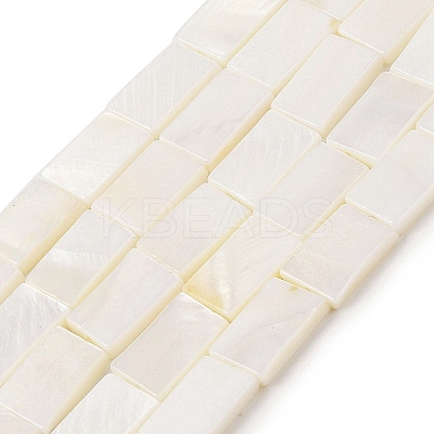 Natural Freshwater Shell Beads Strands BSHE-H018-03-1